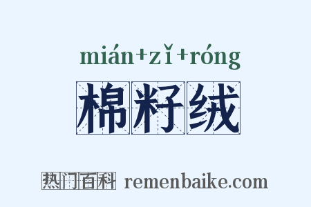 棉籽绒是什么意思的图片